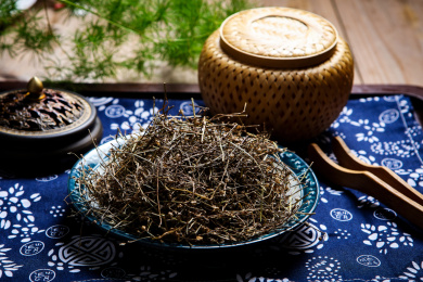 传统中医学中草药材白花蛇草