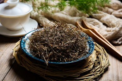 中国传统中医中草药材白花蛇草