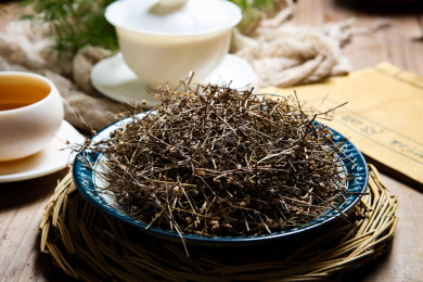 传统中医学中草药材白花蛇草