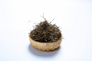 传统中医学中草药材白花蛇草