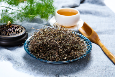 传统中医学中草药材白花蛇草