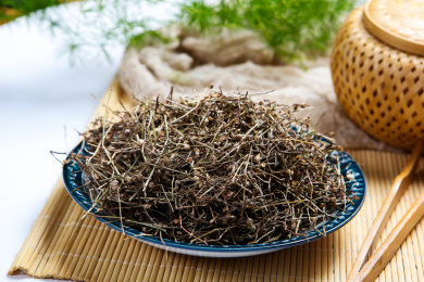 传统中医学中草药材白花蛇草