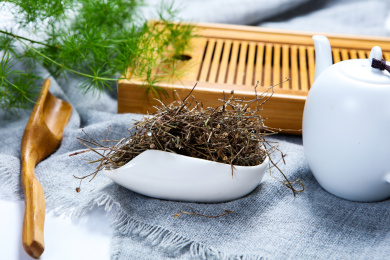 中国传统中医中草药材白花蛇草