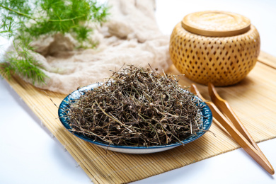 中国传统中医中草药材白花蛇草