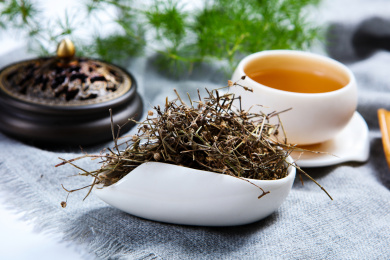 中国传统中医中草药材白花蛇草