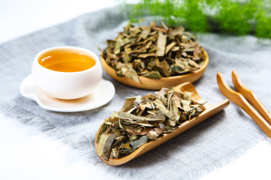 传统中医中草药材原料枇杷叶