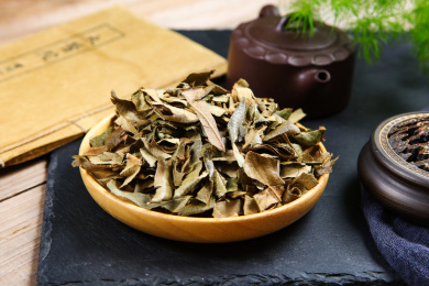 药用植物中国传统中医药中药材枇杷叶