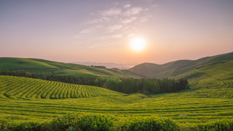 中国浙江省宁波市福泉山山顶日出