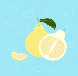 柚子组合简洁方构图手绘插画