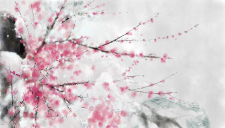 手绘中国画水墨画桃花樱花梅花