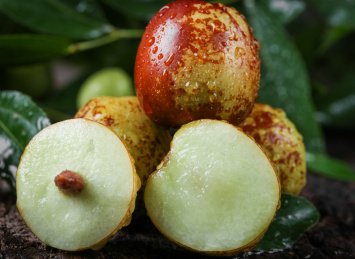 深色底上切开的冬枣果肉