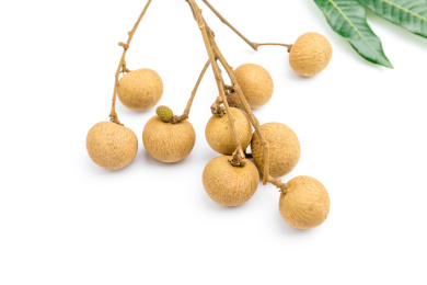 白色背景中一串新鲜美味的龙眼