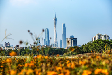 广州城市风光—晴天从海珠湖远眺广州塔小蛮腰