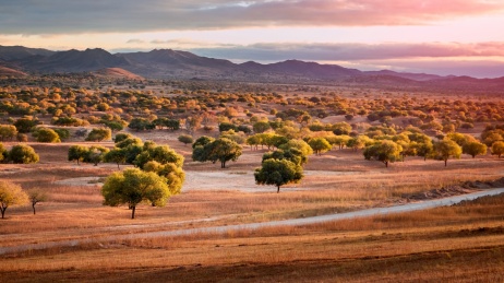 秋季内蒙古多沦湖景区里草原的一条公路景色