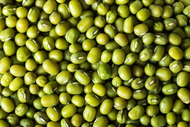 颗粒饱满的豆科食材绿豆豆子