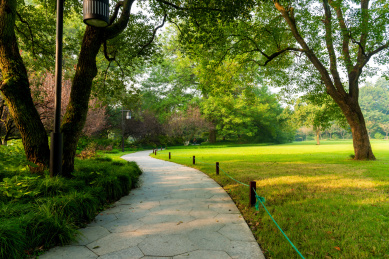 中国浙江杭州植物园，草地与树林间的小路