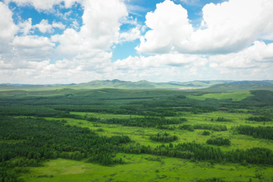 中国河北省承德市七星湖景区航拍视角人工林原