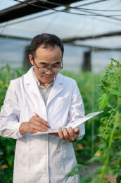 一个男性 农业科学研究人员在检查修剪植物