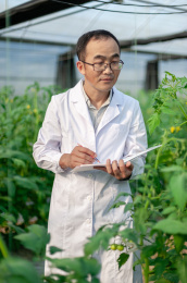 一个男性 农业科学研究人员在检查修剪植物