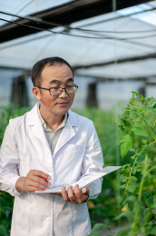一个男性 农业科学研究人员在检查修剪植物