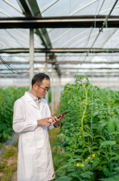一个男性 农业科学研究人员在检查修剪植物