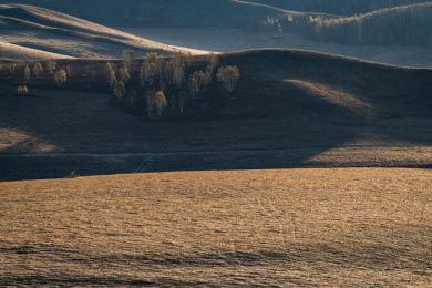 内蒙古坝上乌兰布统秋天的美景