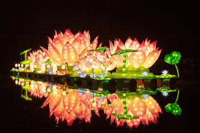 云南省昆明市世界园艺博览园举办的灯会