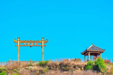 初夏的中国贵州威宁草海景观