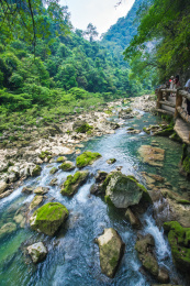中国贵州黔南荔波县大七孔景区内的溪谷风光