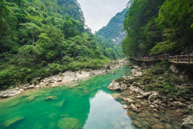 中国贵州黔南荔波县大七孔景区内的溪谷风光