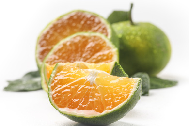 白底上的金柑果肉切瓣