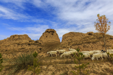 中国山西朔州市右玉县右卫田园风光