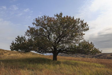 中国山西朔州市右玉县右卫自然风光