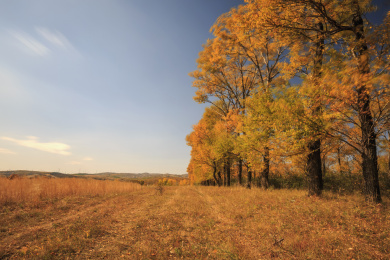 中国山西右玉右卫镇32边长城自然风光