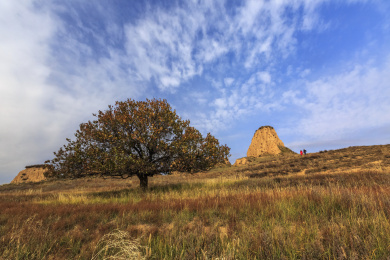 中国山西右玉右卫镇32边长城自然风光