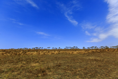 中国山西右玉右卫镇32边长城自然风光