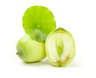 白底上野生莲子切面