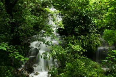 山东省枣庄市山亭区的山泉
