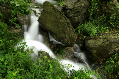 山东省枣庄市山亭区的山泉