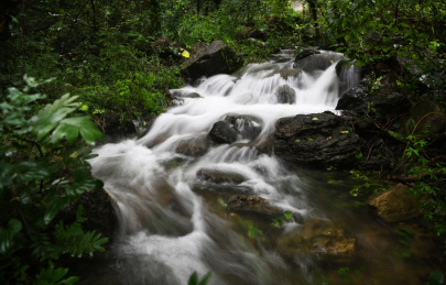 山东省枣庄市山亭区的山泉