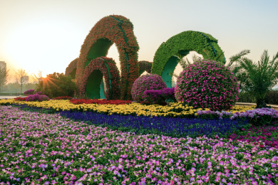 江苏省南京市街道花圃建筑景观