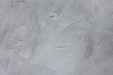 一面浅灰色的水泥墙面贴图