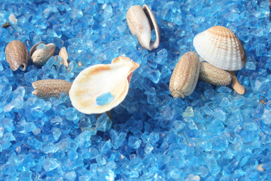 一片蓝色透明细沙上各种海螺和贝壳