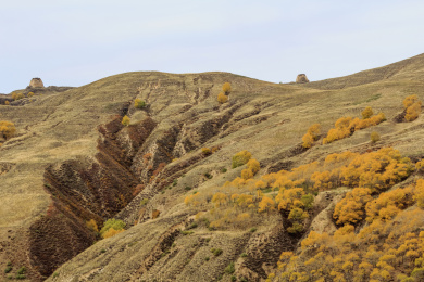中国山西右玉右卫镇32边长城自然风光