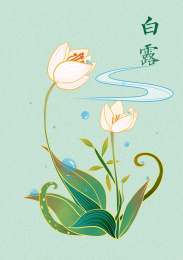 二十四节气插画手绘设计白露
