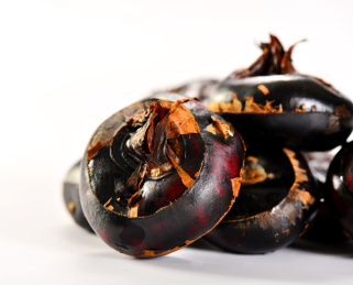 白色背景上摆放的新鲜荸荠