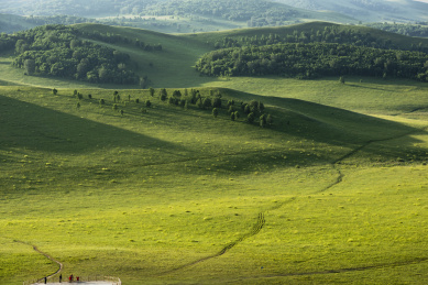 清晨内蒙古乌兰布统坝上草原自然风光