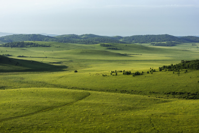 清晨内蒙古乌兰布统坝上草原美丽的自然风光