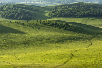 清晨内蒙古乌兰布统坝上草原自然风光