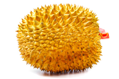 白底上的大榴莲 榴莲